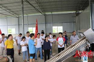 吉首大学爆料事件视频播放,真相与争议交织 第1张 吉首大学爆料事件视频播放,真相与争议交织 第1张